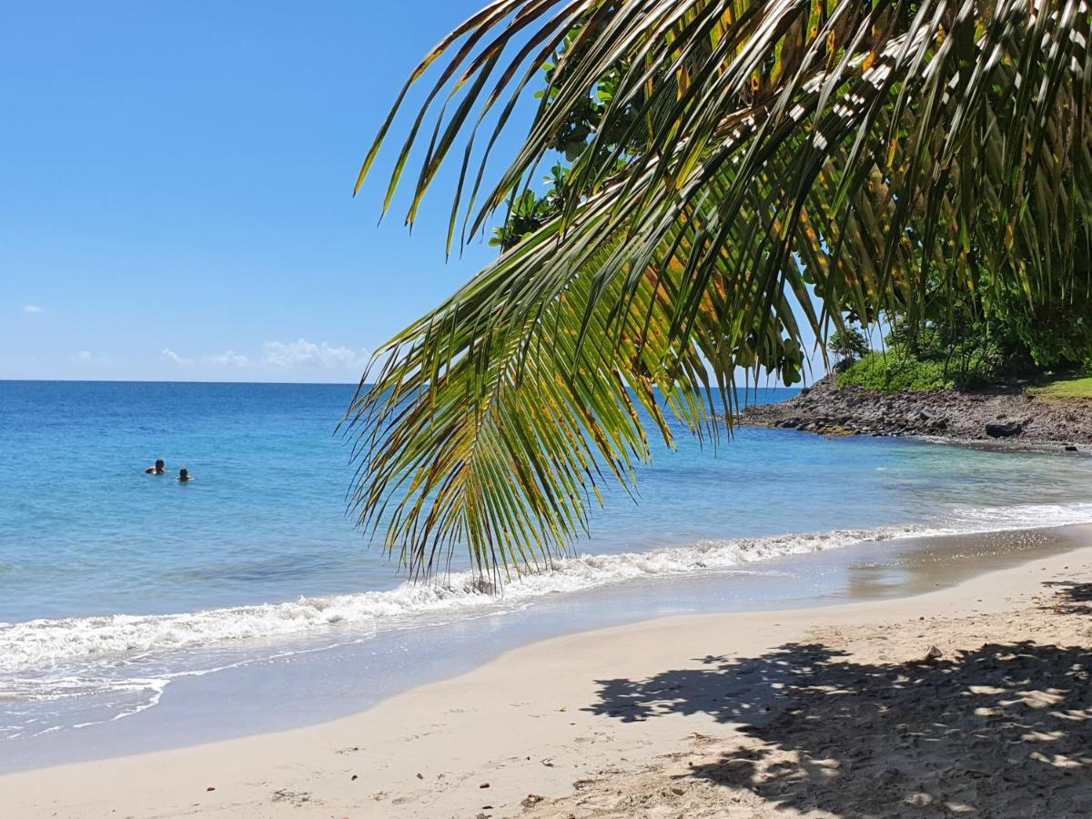 Ti Oasis Trinidad, Studio Vue Mer A Pierre & Vacances Sainte-Luce Exteriér fotografie