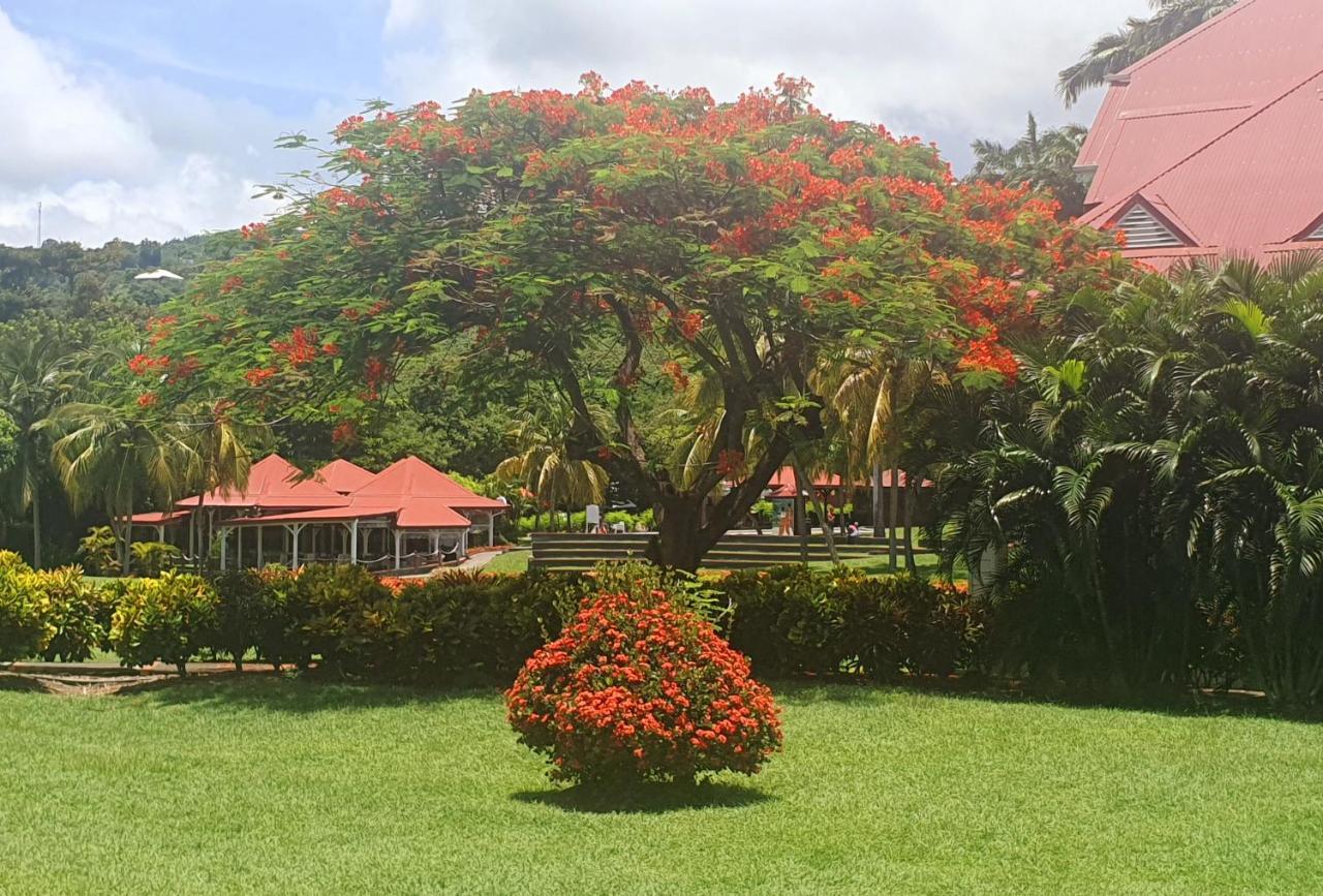 Ti Oasis Trinidad, Studio Vue Mer A Pierre & Vacances Sainte-Luce Exteriér fotografie